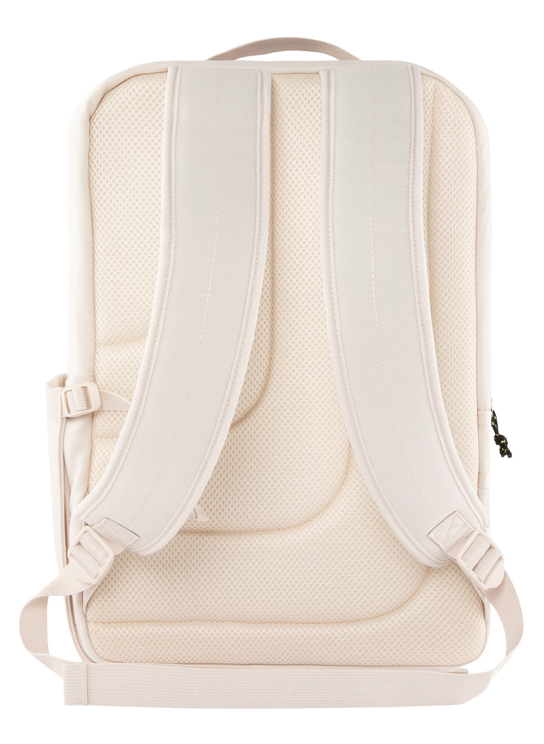 プレス画像マシュマロ2