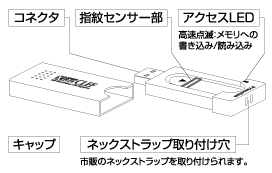 製品展開図